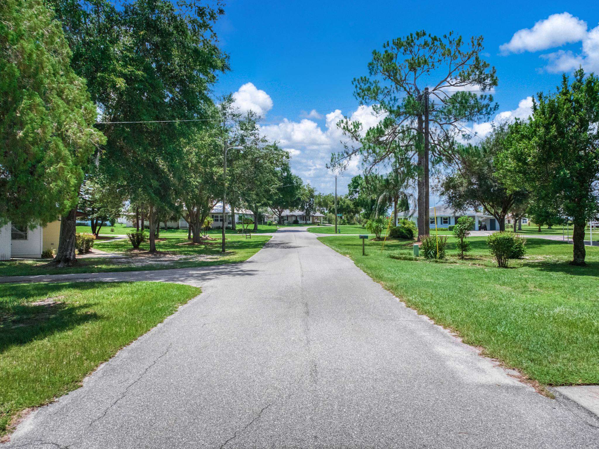 A tree-lined lane through the Village