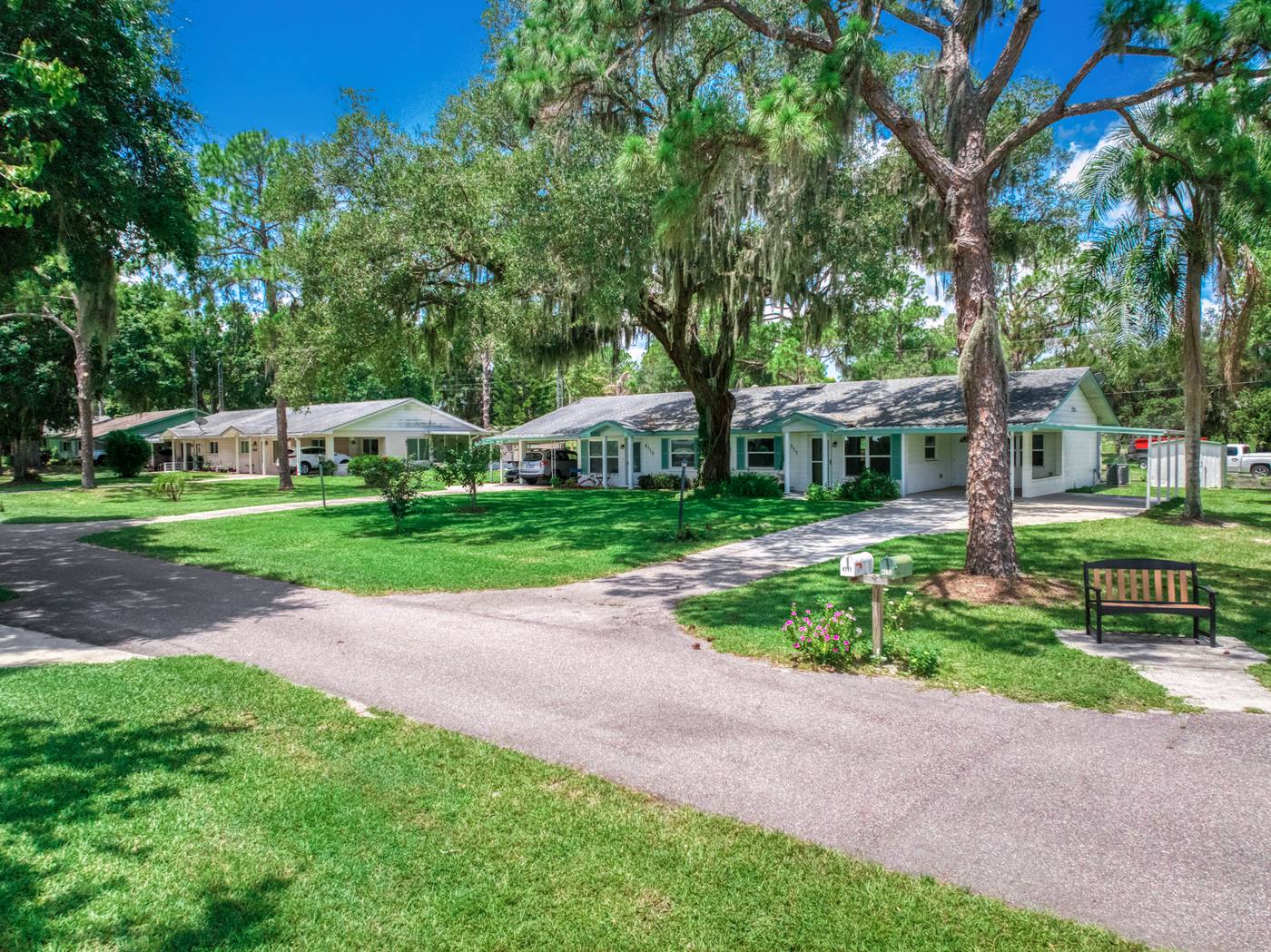 Homes under live oaks with a bench by the lane