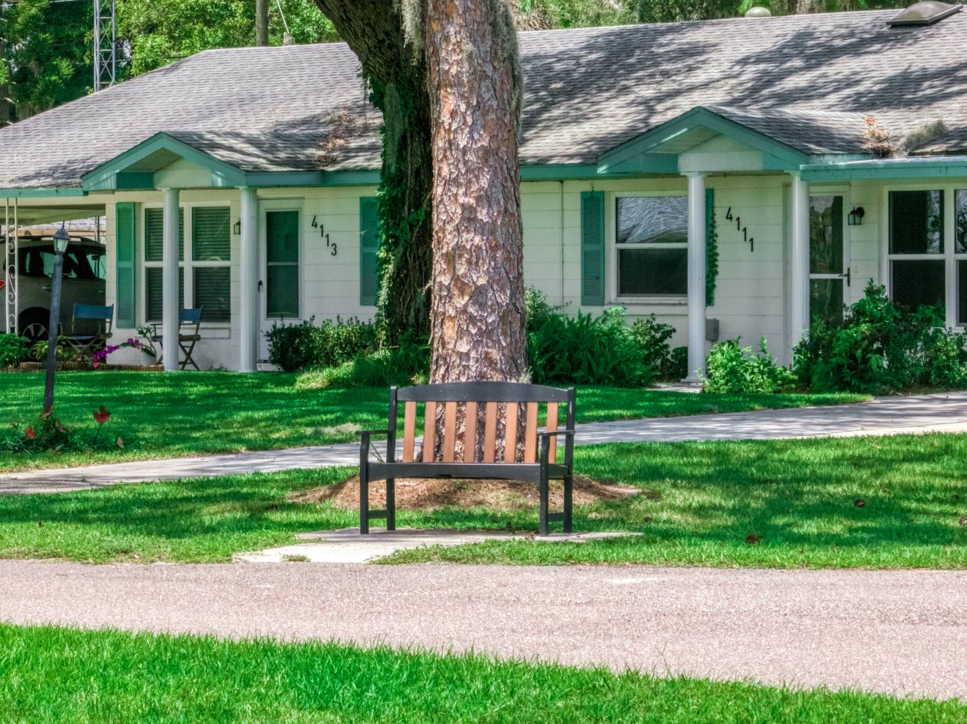 A duplex home with a bench under a pine tree